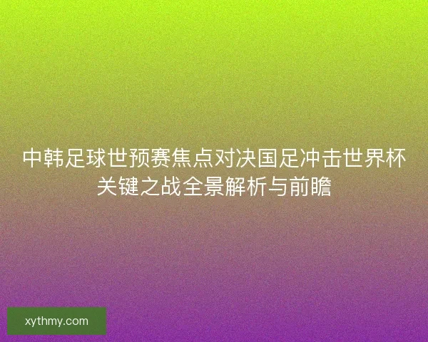 中韩足球世预赛焦点对决国足冲击世界杯关键之战全景解析与前瞻